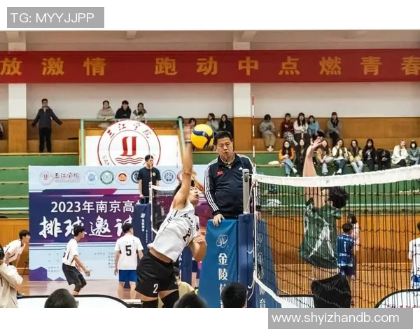 重庆排球队员个人能力分析与团队协作的关系探讨 重庆排球队员个人能力分析与团队协作的关系探讨