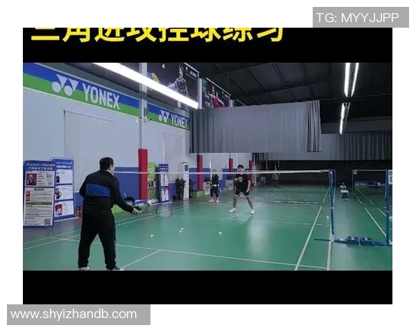 羽毛球新手攻略：战术入门指南