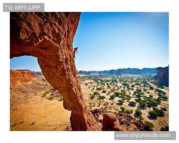 2026极限运动意识排名：成都极限运动队创新高