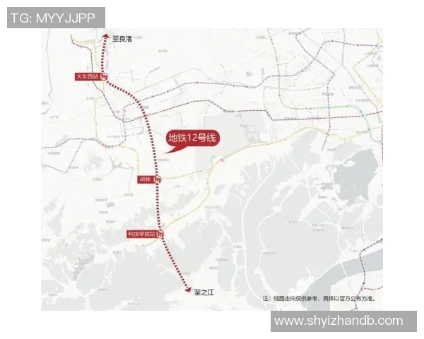 独家分析：深圳乒乓球队的配合对比