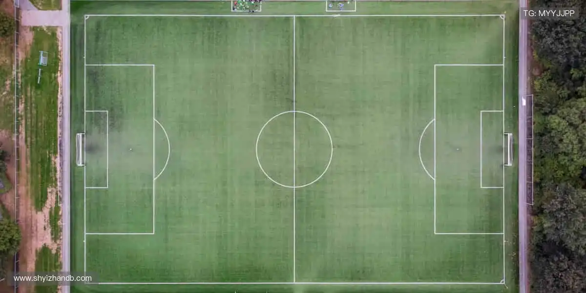 ✨ 突破极限,超越自我!体育精神,由你我共同书写!