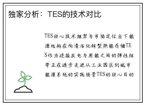 独家分析：TES的技术对比