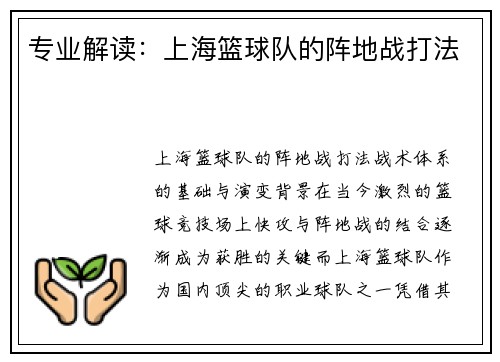 专业解读：上海篮球队的阵地战打法